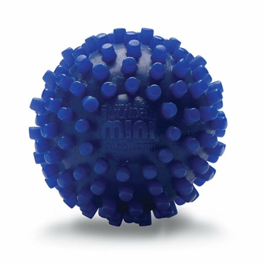 Pro-Tec AcuBall Mini Heatable Massage Ball