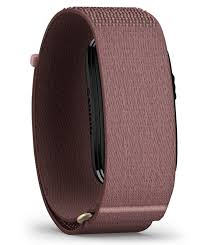 Garmin Cirqa Smart Band