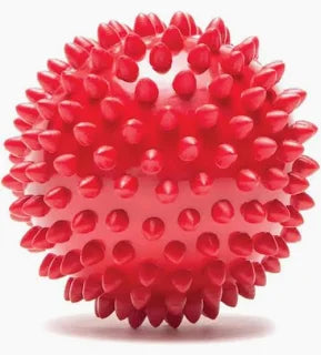 Protec Spiky Massage Ball